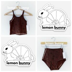 🤎🐍🐚 ARQ Charms Brown Crop Tank & HR Undies Bundle Size XXS Brand New NWT